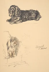 Spaniel and Chow, 1930, ilustrações de seu livro de desenho usado para apenas entre amigos, Aldin, Cecil Charles Windsor (1870-1935), mais tarde publicado pela Eyre e Spottiswoode Limited, 1934, giz e Char