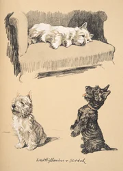 West Highlanders e Scotch, 1930, ilustrações de seu caderno de desenho usado para apenas entre amigos, mais tarde publicado pela Eyre e Spottiswoode Limited, 1934 (giz e charcolal no papel)