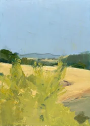 Montagne Noire, Sudoeste de França 2012 (Óleo sobre cartão)