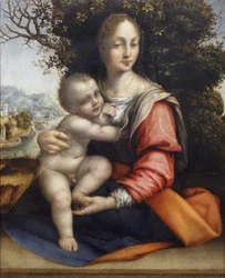 Madonna e Criança (Nossa Senhora da Árvore)