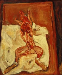 Ecorche de coelho