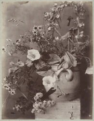 Estudo de flores com vaso de colônia na caixa