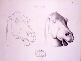 Cabeça de cavalo do Frontão Ocidental do Partenon, placa 47 de Cours de Dessin, c.1898