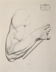 Impressão em papel cinza, 1868