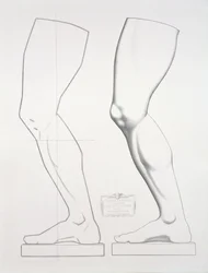Perna de Germanicus, Prato 25 do Curso de Desenho Volume I: Modelos da Colisão, c.1868 (litografia em papel cinza)
