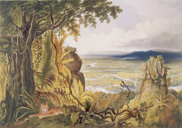 A rocha de Comuti ou de Taquiare, no rio Essequibo, de “vistas no interior de Guiana”, gravada pelo bar de George Barnard (fl.1832-90). por Ackermann, 1840