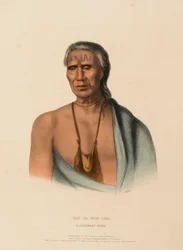LAP-PA-WIN-SOE. A DELAWARE CHIEF, de History of the Indian Tribes of North America