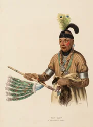 NAW-KAW. A WINNEBAGO CHIEF, de History of the Indian Tribes of North America