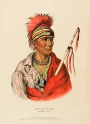 NOT-CHI-MI-NE. AN IOWAY CHIEF, do History of the Indian Tribes of North America (História das tribos indígenas da América do Norte)