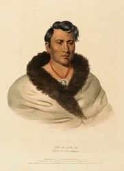 ONG PA TON GA. CHIEF OF THE OMAHAS, de History of the Indian Tribes of North America (História das tribos indígenas da América do Norte)