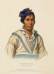 RÃ DA PRIMAVERA. A CHIEF CHEROKEE, de History of the Indian Tribes of North America