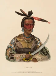 TO-KA-CON. A SIOUX CHIEF, de History of the Indian Tribes of North America