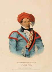 TUSTENNUGGEE EMATHLA, de History of the Indian Tribes of North America (História das tribos indígenas da América do Norte)