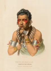 JOVEM MA-HAS-KAH. CHIEF OF THE IOWAYS, de History of the Indian Tribes of North America