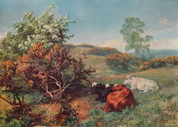 Paisagem com gado no Nower, Dorking, c1899