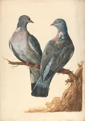 Dois Pombos de Madeira