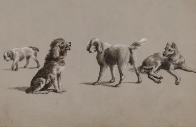 Estudos de cães (caneta, pincel, tinta e guache sobre papel)