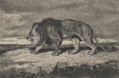 Leão andando, 1866-1897.