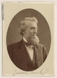 Retrato de Joseph Medill, c.1876