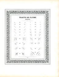 Elementos caligráficos de canto - Traits de Plume Coins (impressão)