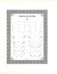 Ornamentos de canto caligráficos (impressão)