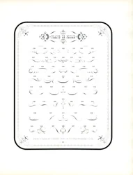 Floreados caligráficos e elementos decorativos (impressão)