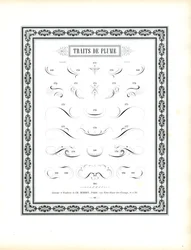 Floreados de caneta caligráfica - Traits de Plume (impressão)