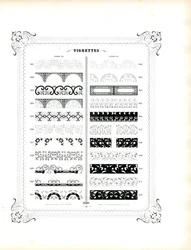 Faixas decorativas finas e faixas ornamentais (impressão)