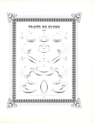 Floreados de caneta caligráfica de grande formato (impressão)