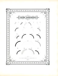Elementos de cantos arredondados (imprimir)