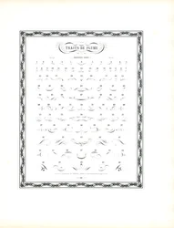 Catálogo de amostras para Floreados de caneta caligráfica - Primeira série (impressão)