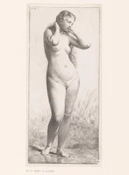 Mulher nua de pé