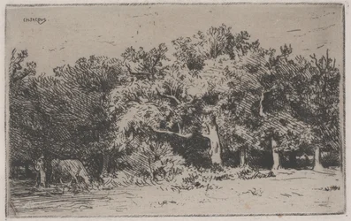 Um canto da floresta de Fontainebleau (gravura)