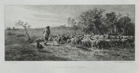 Chegando no Campo