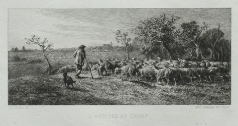 Chegando no campo.