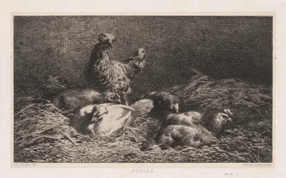 Galinhas Poutes, 1867.