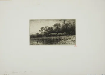 Paisagem noturna
