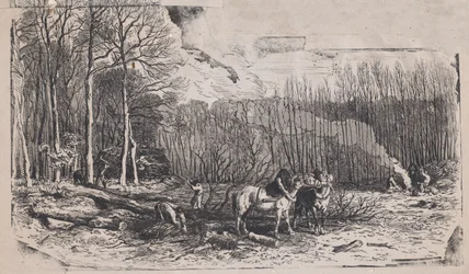 Fevereiro do Álbum de Assuntos Rústicos, 1859.