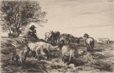 Rebanho de Ovelhas, 1864.