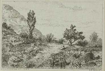 Paisagem