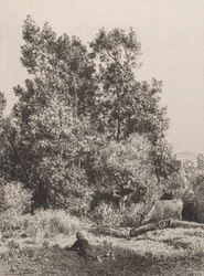 Paisagem, 1864.