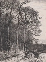 Borda do Bosque, 1846.