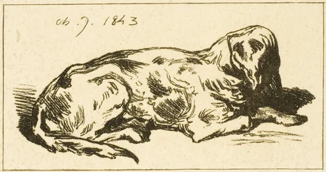Cão Deitado