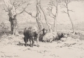 Carneiro, 1868.