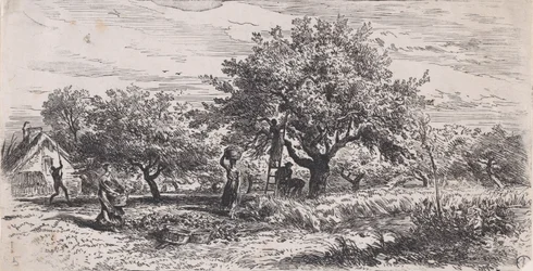 Colhendo frutas da árvore fora da casa, ca. 1852.
