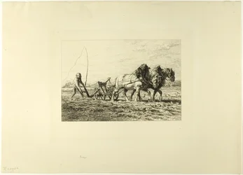 Arar