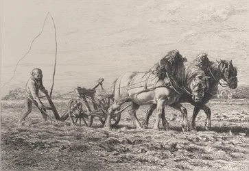 Arar, 1864.