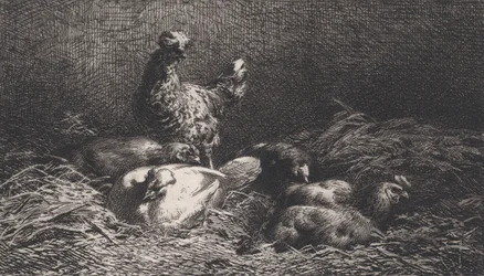 Galinhas, 1867.