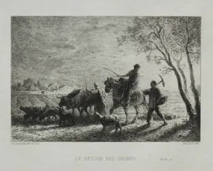 Retornando dos campos.