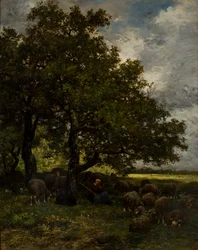Paisagem rural
